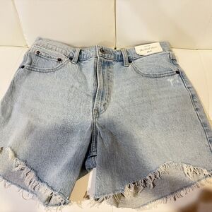 Abercrombie & Fitch Light Blue High Rise The Dad Short